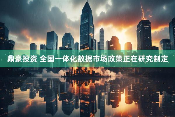 鼎豪投资 全国一体化数据市场政策正在研究制定
