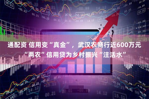 通配资 信用变“真金”，武汉农商行近600万元“两农”信用贷为乡村振兴“注活水”