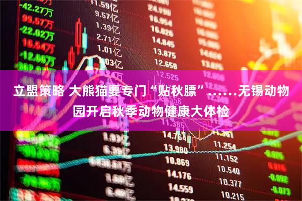 立盟策略 大熊猫要专门“贴秋膘”……无锡动物园开启秋季动物健康大体检