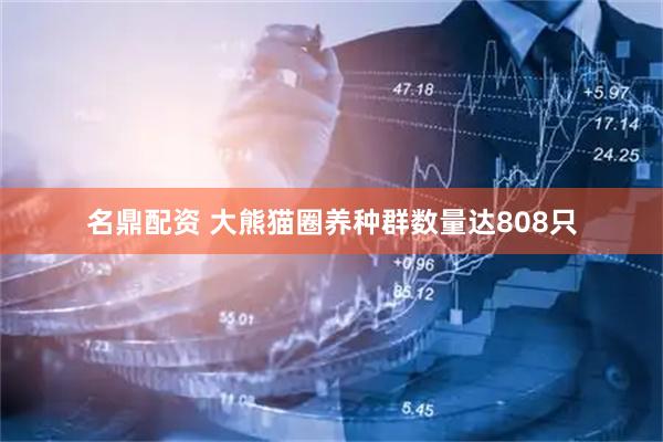 名鼎配资 大熊猫圈养种群数量达808只