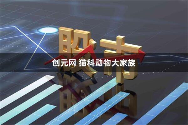 创元网 猫科动物大家族